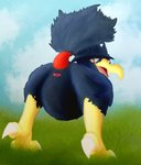 ambiguous_gender animal_genitalia ass_up avian_butt beak cloaca detailed_background feathers feet feral genitals grass looking_at_viewer looking_back outside plant presenting simple_background sky solo talons toes vagoncho nintendo pokemon linker avian generation_2_pokemon murkrow pokemon_(species) hi_res