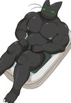 anthro bathing bathtub belly black_body black_fur blush bodily_fluids body_hair claws fur green_eyes male muscular muscular_anthro muscular_male nipples nude overweight overweight_male partially_submerged sharp_teeth smile solo sweat teeth water whiskers oyasmis cartoon_network mao_mao:_heroes_of_pure_heart sheriff_mao_mao_mao domestic_cat felid feline felis mammal hi_res