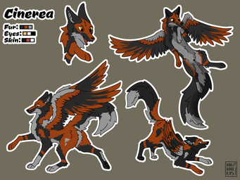 animal_genitalia animal_vulva anus black_body black_fur black_nose canine_genitalia canine_vulva female feral flying fur genitals grey_body grey_fur orange_body orange_fur paws solo spread_wings tail vulva wings yellow_eyes nivalis_(artist) cinerea_(nivalis) canid canine fox mammal 4:3 hi_res model_sheet signature