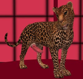 big_penis erection feral genitals huge_penis hyper hyper_genitalia hyper_penis male penile_spines penis realistic_feral solo tail tapiko felid leopard mammal pantherine 3d_(artwork) digital_media_(artwork)