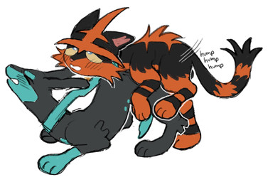 ahegao anal anal_penetration animal_genitalia animal_penis ass_up balls barely_visible_balls barely_visible_genitalia black_body black_fur blue_eyes blush blush_lines canine_genitalia canine_penis duo eyes_closed feral feral_on_feral feral_penetrated feral_penetrating feral_penetrating_feral feral_penetrating_male from_behind_position fur genitals green_markings green_penis humping looking_pleasured male male/male male_on_feral male_penetrating_feral markings mating_grip multi_nipple nipples one_leg_up open_mouth penetration penis raised_leg red_body red_fur scruffy sex thrust_lines thrusting yellow_sclera binkybnuuy nintendo pokemon basil_(binkybnuuy) byte_(binkybnuuy) generation_7_pokemon half_shiny_pokemon legendary_pokemon pokemon_(species) torracat zygarde zygarde_10_forme hi_res