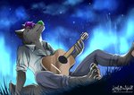 anthro male music musical_instrument solo space star littlebadwolf drakonal canid canine canis domestic_dog husky hybrid mammal nordic_sled_dog spitz wolf wolfdog absurd_res hi_res