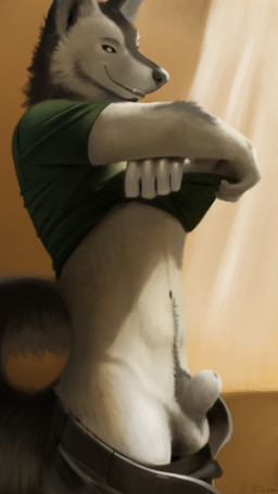 animal_genitalia animal_penis anthro balls black_body black_fur bottomwear canine_genitalia canine_penis clothing erection fully_sheathed fur genitals looking_at_viewer male pants penis sheath shirt solo tail topwear undressing undressing_self white_body white_fur djano canid canine canis mammal wolf 9:16 hi_res