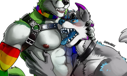 abs anthro areola bdsm biped blush bodily_fluids body_blush claws collar dominant dominant_male duo fangs fangs_bared harness leash leash_pull leashed_collar leather lgbt_pride male male/male male_anthro muscular muscular_anthro muscular_male nipples pecs pride_colors rainbow_pride_colors saliva six-stripe_rainbow_pride_colors submissive submissive_male teeth tongue tongue_out satana25 fidget_the_fox kyro_the_husky canid canine mammal 5:3 hi_res