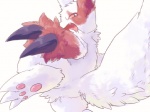 ambiguous_gender anthro blush butt feet fur hindpaw markings paws red_markings simple_background solo surprise tail teeth white_background white_body white_fur salt_(artist) nintendo pokemon generation_3_pokemon pokemon_(species) zangoose