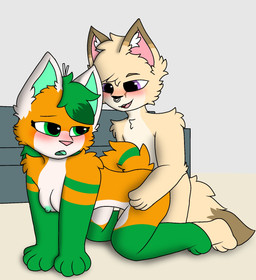 all_fours andromorph anthro blush breasts duo facial_piercing female female_penetrated fur intersex male male/female male_penetrating nipples nose_piercing penetration piercing sex barclaysandfox364 barclay_fennec sushifox canid canine fox mammal hi_res