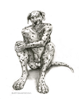 animal_genitalia animal_penis anthro balls biped canine_genitalia canine_penis claws digitigrade erection finger_claws floppy_ears front_view genitals knot knotted_penis looking_at_viewer male male_anthro nude nude_anthro nude_male pawpads paws penis pose simple_background sitting solo spots tail text toe_claws white_background kenket canid canine canis dalmatian domestic_dog mammal 2015 english_text full-length_portrait greyscale monochrome portrait shaded simple_shading traditional_media_(artwork) url