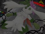 anthro arms_tied bdsm bondage bound breasts female genitals green_eyes laying_on_table legs_tied lying navel pussy solo white_body wire silavos nintendo pokemon eulipotyphlan generation_4_pokemon hedgehog legendary_pokemon mammal pokemon_(species) shaymin sky_forme_shaymin 4:3 watermark