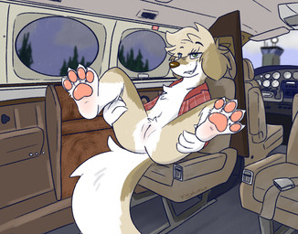 4_fingers 4_toes aircraft airplane anthro anus barefoot bedroom_eyes bent_legs black_eyebrows blue_eyes bottomless bottomless_anthro bottomless_female brown_body brown_ears brown_fur brown_nose brown_tail butt chest_tuft claws clothed clothed_anthro clothed_female clothing countershade_face countershade_fur countershade_neck countershade_tail countershade_torso countershading eye_through_hair eyebrow_through_hair eyebrows featureless_chest feet female female_anthro fingers flat_chested floppy_ears front_view fur genitals green_eyes grin grinning_at_viewer hair heterochromia hindpaw holding_both_legs humanoid_genitalia humanoid_vulva inside_airplane inside_vehicle iris leg_markings looking_at_viewer lop_ears markings monotone_hair multicolored_body multicolored_fur multicolored_tail narrowed_eyes navel open_clothing open_shirt open_topwear pattern_clothing pattern_shirt pattern_topwear pawpads paws pink_pawpads plaid plaid_clothing plaid_shirt plaid_topwear plantigrade plantigrade_pawpads pose presenting presenting_vulva pupils raised_eyebrow red_clothing red_shirt red_topwear seductive shirt shirt_only short_hair smile smiling_at_viewer smirk smirking_at_viewer snout socks_(marking) solo spread_legs spreading tail tan_body tan_fur tan_hair tan_tail teeth text toe_claws toes topwear topwear_only translucent translucent_hair tuft vehicle vulva white_body white_claws white_countershading white_feet white_fur white_hands white_markings white_sclera white_tail white_tuft vixeyhuskybutt gracie_(vixeyhuskybutt) bird_dog canid canine canis domestic_dog golden_retriever hunting_dog mammal retriever artist_name full-length_portrait portrait
