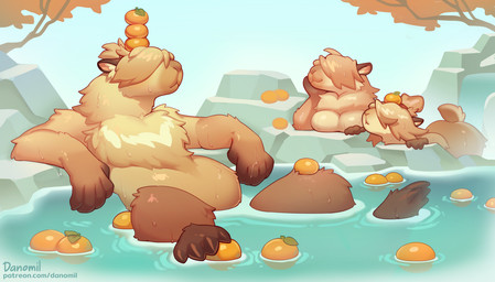 anthro biped breasts brown_body brown_fur brown_hair brown_tail butt female front_view fur group hair male nude nude_anthro nude_female nude_male outside sitting sky smile tail text trio water wet wet_body wet_fur danomil capybara caviid mammal rodent 2025 digital_drawing_(artwork) digital_media_(artwork) hi_res url