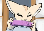 aggretsuko anthro bust_portrait canid canine clothed clothing dildo female fennec_fox fenneko fox front_view holding_dildo holding_object holding_sex_toy looking_at_viewer mammal naughty_face portrait purple_dildo sanrio sex_toy solo tan_body toxoglossa true_fox