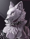 anthro breasts collar featureless_breasts female looking_at_viewer nude solo spiked_collar spikes grungecandy canid canine mammal