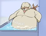 anthro bathtub blush covering_nose duo fart fart_bubbles fur hair hair_over_eyes male male/male overweight overweight_male tan_body tan_fur tongue tongue_out bubbleburps_(artist) beastars collot_(beastars) voss_(beastars) canid canine canis domestic_dog fennec_fox fox herding_dog mammal old_english_sheepdog pastoral_dog sheepdog true_fox 2021