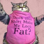 ambiguous_gender asking_viewer clothing feral fur green_eyes grey_body grey_fur shirt slightly_chubby solo text topwear whiskers catwheezie domestic_cat felid feline felis mammal 1:1 absurd_res english_text hi_res meme redraw