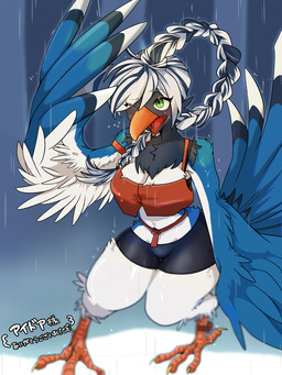 anklet anthro beak big_breasts black_body black_feathers blue_body blue_feathers blush blush_lines bottomwear bra braided_hair braided_ponytail breasts cheek_tuft claws clothed clothed_female clothing crop_top depth_of_field facial_tuft feathers feet female fully_clothed green_eyes hair jewelry midriff neck_tuft one_eye_closed open_beak open_mouth orange_beak ponytail raining shielding_eyes shirt shorts simple_background small_waist solo sports_bra stripes tail tail_feathers talons thick_thighs tight_clothing toe_claws toes tongue topwear tuft underwear white_body white_feathers wide_hips wings mituyoshe cissa_(idorrth) avian bird corvid magpie_(corvid) oscine passerine 3:4 digital_media_(artwork) hi_res