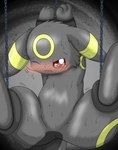 ambiguous_gender anus black_body bound chain chained disembodied_penis duo feral genitals impending_anal male male/ambiguous penis sen_kazami nintendo pokemon eeveelution generation_2_pokemon pokemon_(species) umbreon hi_res