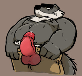 anthro balls belly big_belly biped black_nose bodily_fluids bottomwear clothing erection fur genital_fluids genitals grey_body grey_fur humanoid_genitalia humanoid_hands humanoid_penis male overweight overweight_male pants penis precum simple_background solo standing white_body white_fur bencomedion beastly_crimes beastly_crimes_(2024) chief_badger badger mammal mustelid musteline 2026