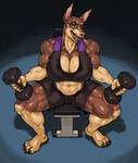 anthro big_breasts bodily_fluids bottomwear bra breasts brown_body brown_eyes brown_fur clothing exercise female fur huge_breasts shorts solo sports_bra sweat underwear weightlifting weights workout ser_halo tracy_porter canid canine canis dobermann domestic_dog mammal pinscher hi_res