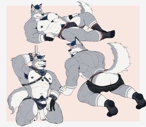 5_fingers abs all_fours anthro armpit_hair back_muscles biceps body_hair bulge butt chest_hair chest_tuft claws clothing collar ear_piercing fingers footwear happy_trail harness humanoid_hands jockstrap kneeling leather leather_harness looking_at_viewer male muscular muscular_anthro muscular_male muscular_thighs navel nipple_piercing nipples piercing pole pubes scar smile smiling_at_viewer socks solo stripper_pole tail tuft underwear tuna_tad vtuber dachrom canid canine canis mammal wolf absurd_res hi_res