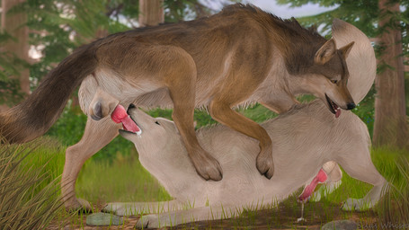amber_eyes anatomically_correct animal_genitalia animal_penis anus balls black_nose blurred_background bodily_fluids brown_body brown_fur canine_genitalia canine_penis claws cum cum_in_mouth cum_inside cum_on_face cum_on_ground cum_on_penis detailed_background duo ejaculation erection eyes_closed face_mounting fellatio feral feral_on_feral feral_penetrated feral_penetrating feral_penetrating_feral forest fur genital_fluids genitals grass intraspecies knot knotted_penis leaking_cum leaking_precum looking_pleasured male male/male male_penetrated male_penetrating male_penetrating_male oral oral_penetration paws penetration penile penile_penetration penis plant precum raised_tail realistic_feral sex sheath sky spread_legs spreading summer tail tail_down teeth toe_claws tongue tongue_out tree white_body white_fur blodrain canid canine canis mammal wolf 16:9 3d_(artwork) digital_media_(artwork) hi_res widescreen