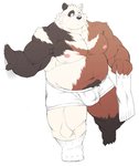 anthro belly bulge clothing footwear kemono male moobs navel nipples overweight overweight_anthro overweight_male simple_background socks solo underwear white_background mti777 bear brown_bear giant_panda grizzly_bear hybrid mammal polar_bear ursine 2020 hi_res