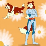 anthro digitigrade female feral multiple_forms quadruped solo tail fuzzycoma road_rovers colleen_(road_rovers) canid canine canis collie domestic_dog herding_dog mammal pastoral_dog rough_collie sheepdog 1:1 hi_res