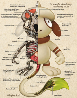 3_fingers 3_toes ambiguous_gender anatomical_diagram anatomical_study anatomy anatomy_chart anthro biped bone brain brown_body brown_eyes brown_stripes chart cross_section dipstick_tail feet fingers front_view green_tail_tip guts heart_symbol intestines looking_at_viewer lung markings mouth_closed organs paper_background plantigrade rib_cage simple_background skull solo stomach striped_arms striped_legs stripes tail tail_markings tan_background tan_body teeth text toes twitter_handle white_sclera x-ray_view christopher_stoll nintendo pokemon pokenatomy generation_2_pokemon pokemon_(species) smeargle 2022 biological_illustration copyright_name digital_drawing_(artwork) digital_media_(artwork) english_text full-length_portrait hi_res portrait species_name technical_illustration