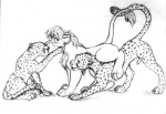 cheetah cheetoto chris_mckinley disney feline feral gay lion male sex the_lion_king
Rating: Explicit
Score: 2
User: xes
Date: November 26, 2012