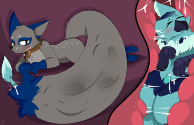 animal_genitalia animal_penis anthro balls beak belly black_nose blue_body blue_fur blush bodily_fluids claws clothing cutaway duo erection feathers feral fur genitals grey_body grey_fur hair internal male male/male multicolored_body nude paws penile_spines penis sheath simple_background size_difference smile tail tail_bulge tail_fetish tail_mouth tail_play tail_vore text unusual_anatomy unusual_tail unusual_vore vore e-01 mythology nintendo pokemon ares_(deidra) avian canid canine canis generation_8_pokemon gryphon mammal mythological_avian mythological_creature nickit pokemon_(species) 14:9 digital_media_(artwork) english_text hi_res
