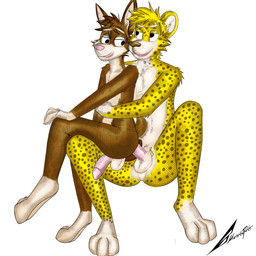 4_toes anal anal_penetration annoyed anthro anthro_on_anthro anthro_penetrated anthro_penetrating anus balls bent_legs big_dom_small_sub butt chuckling curved_penis desperation dominant dominant_male duo ejaculation embarrassed erection eye_contact eyebrows eyewear eyewear_only feet fingers flaccid fur genitals glasses glasses_only hair hands-free happy happy_sex hug hunter hunting imminent_sex inviting looking_at_another looking_back looking_pleasured love male male/male male_penetrated male_penetrating male_penetrating_male markings nervous nervous_smile nude penetration penile penile_penetration penis penis_in_ass penis_size_difference pleased pleased_expression predator/prey predator_penetrating_prey seductive sex simple_background sitting sitting_on_another sitting_on_leg size_difference size_play smaller_male smaller_penetrated smile spots spotted_body spotted_fur spread_legs spreading tail toes unusual_anatomy wearing_glasses white_background meretopett cheetah felid feline hare lagomorph leporid mammal pantherine rabbit 1:1 absurd_res hi_res sketch story story_in_description