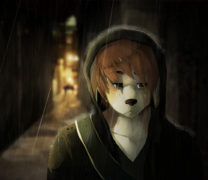 alley anthro biped brown_hair clothed clothing dark ears_down freckles front_view fully_clothed hair hood hood_up male night outside pivoted_ears raining sad solo street buttsecs canid canine canis domestic_dog mammal bust_portrait digital_media_(artwork) portrait