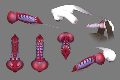 animal_genitalia animal_penis anthro anthro_on_feral balls bestiality canine_genitalia canine_penis disembodied_penis erection feral fingers flaccid genitals grey_background hybrid_genitalia hybrid_penis knot knotted_penis male multicolored_penis penile_spines penis pink_sheath_slit ridged_knotted_penis ridged_penis sheath_slit simple_background unusual_anatomy unusual_genitalia unusual_penis vein vloic alyx_mcconville_(character) canid canine mammal 3:2 hi_res model_sheet source_request