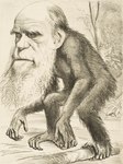 bald beard big_nose caricature eyebrows facial_hair fur humanoid_face male mockery nude solo standing thick_eyebrows unknown_artist charles_darwin ape haplorhine humanoid hybrid mammal monkey primate 1871 19th_century absurd_res ancient_art full-length_portrait hi_res monochrome portrait