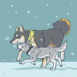 black_body black_fur collar curled_tail duo female fur green_eyes grey_body grey_fur male scarf snow tail tongue tongue_out white_body white_fur yellow_eyes dollynx5 nijisanji vtuber kuroi_shiba suzuki_masaru canid canine canis domestic_dog mammal shiba_inu spitz wolf 1:1 hi_res