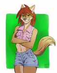 anthro bottomwear brown_hair canid canine clothed clothing crossed_arms eyebrows female fur green_eyes grey_nose hair hi_res hotpants mammal mimikyutwo shorts simple_background smile solo tail tan_body tan_fur whiskers