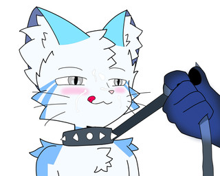 ambiguous_gender anthro blush bodily_fluids collar cum cum_on_face genital_fluids leash leash_pull licking licking_lips male submissive submissive_anthro submissive_male tongue tongue_out tingfur tingmas domestic_cat felid feline felis mammal hi_res
