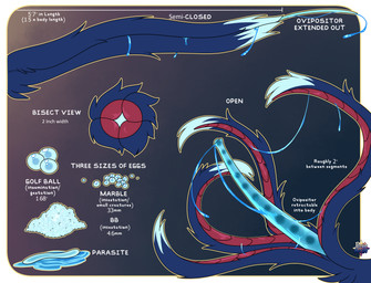 egg feral male ovipositor parasite slime solo tail tail_ovipositor tentacle_tail tentacles text unusual_anatomy unusual_tail pickynickit sol_star absurd_res english_text hi_res model_sheet
