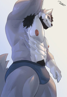abs anthro armpit_fetish armpit_hair barazoku beard black_hair blue_clothing blue_eyes blue_underwear bodily_fluids body_hair briefs bulge claws clothed clothing facial_hair finger_claws fur gloves_(marking) grey_body grey_fur hair hand_behind_head happy_trail looking_at_viewer looking_down looking_down_at_viewer low-angle_view male markings multicolored_body multicolored_fur muscular muscular_anthro muscular_male nipples pecs presenting_armpit pubes solo sweat sweaty_armpit text two_tone_body two_tone_fur underwear underwear_only white_body white_fur worm's-eye_view shizumei_608 logan_mcgrath canid canine canis mammal wolf 2025 artist_name hi_res
