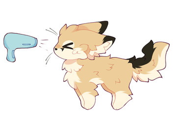 >_< black_nose dipstick_ears dryer ear_markings eyebrows eyes_closed feral fluffy fluffy_body fluffy_ears fluffy_fur fluffy_head fluffy_tail fur furry_body furry_ears furry_tail gloves_(marking) hair_dryer leg_markings male markings multicolored_ears raised_tail simple_background socks_(marking) solo standing tail tan_body tan_ears tan_fur tan_tail whiskers white_background miaousha avery_(suheugene) canid canine fennec_fox fox mammal true_fox 2026 digital_drawing_(artwork) digital_media_(artwork) hi_res
