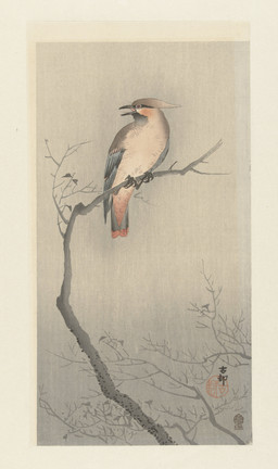 ambiguous_feral ambiguous_gender avian_feet beak biped bipedal_feral branch cjk_character dead_tree facial_markings feathered_crest feathered_wings feathers feral head_crest head_markings looking_aside markings mask_(marking) on_branch open_beak open_mouth plant scuted_feet scuted_legs scutes simple_background solo standing tail tail_feathers tree wings ohara_koson public_domain avian bird oscine passerine waxwing 20th_century absurd_res ancient_art hi_res traditional_media_(artwork)