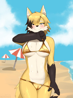 big_breasts bikini breasts camel_toe character_manaw clothing female genitals gold_bikini navel solo swimwear triangle_bikini two-piece_swimsuit vulva roo310 golden_week canid canine fox mammal 3:4 absurd_res hi_res