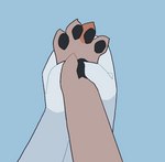 ambiguous_gender anthro claws duo fur grey_body grey_fur orange_body orange_fur paw_squeeze paws paws_only retractable_claws white_body white_fur vinqock callie_(vinqou) reina_(vinqou) mammal 2023 animated short_playtime trans_(lore) trans_man_(lore) trans_woman_(lore)