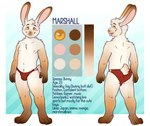 anthro biped buckteeth bulge clothed clothing color_swatch eyebrows fingers fur male scut_tail short_tail solo speedo swimwear tail teeth text tongue tongue_out topless topless_anthro topless_male mytigertail marshall_(naaaaabe) lagomorph leporid mammal rabbit english_text hi_res model_sheet