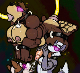 anal anal_penetration anthro anthro_on_anthro balls barefoot biceps bodily_fluids bound butt collar cum cum_on_tongue cumshot ejaculation erection feet genital_fluids genitals group handjob humanoid_genitalia humanoid_penis hypnosis hypnotic_visor male male/male male_penetrated mind_control muscular muscular_male nipples nude oral oral_penetration pecs penetration penile penis restrained saliva sex simple_background slave spiral submissive submissive_male suspension tongue tongue_out trio two-handed_handjob anothermeekone banjo-kazooie nintendo rareware star_fox banjo_(banjo-kazooie) wolf_o'donnell bear canid canine canis mammal wolf crossover