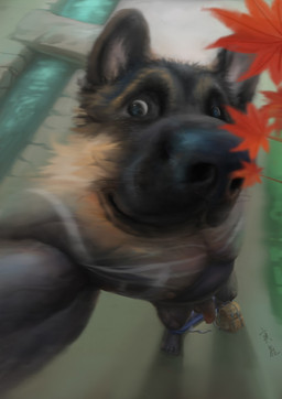 anthro backpack balls close-up feet flaccid genitals humanoid_feet male nipples nude penis plantigrade selfie solo yinhu885 canid canine canis domestic_dog german_shepherd herding_dog mammal pastoral_dog hi_res