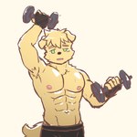 abs anthro biceps bodily_fluids bottomwear clothing exercise fingerless_gloves fur gloves green_eyes hair handwear looking_at_viewer male muscular muscular_male nipples pants pecs shirtless_male simple_background solo sweat weightlifting white_background workout yellow_body yellow_fur thobeo20vn bird_dog canid canine canis domestic_dog golden_retriever hunting_dog mammal retriever 1:1 hi_res