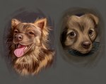 ambiguous_gender brown_body brown_fur feral floppy_ears fur open_mouth solo tongue tongue_out whiskers rappenem cc-by-nc creative_commons canid canine canis domestic_dog mammal absurd_res digital_media_(artwork) digital_painting_(artwork) hi_res painting_(artwork)