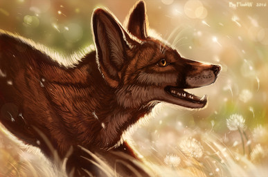 amber_eyes ambiguous_gender black_body black_fur black_lips black_nose blurred_background day detailed_background detailed_fur fangs feral flower fur grass inner_ear_fluff light lips long_mouth looking_up nature no_sclera nude open_mouth orange_body orange_fur outside plant quadruped shadow side_view snout solo standing sunlight teeth tuft whiskers white_body white_fur wind flashw canid canine fox mammal red_fox true_fox 2016 detailed digital_media_(artwork) digital_painting_(artwork) half-length_portrait painting_(artwork) portrait