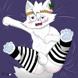 anthro anus avix bodily_fluids clothing cum cum_inside ejaculation footwear genital_fluids genitals male penis rubbing socks solo gfoxh_wolfox canid canine fox mammal 1:1 absurd_res hi_res