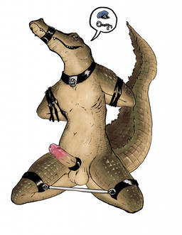 anthro balls bdsm big_balls bondage bound collar erection genitals humanoid_genitalia humanoid_penis male muzzle_(object) muzzled nude penis presenting restraints solo spreader_bar spreading teeth incogneat-o alligator alligatorid crocodilian reptile scalie 2018 hi_res